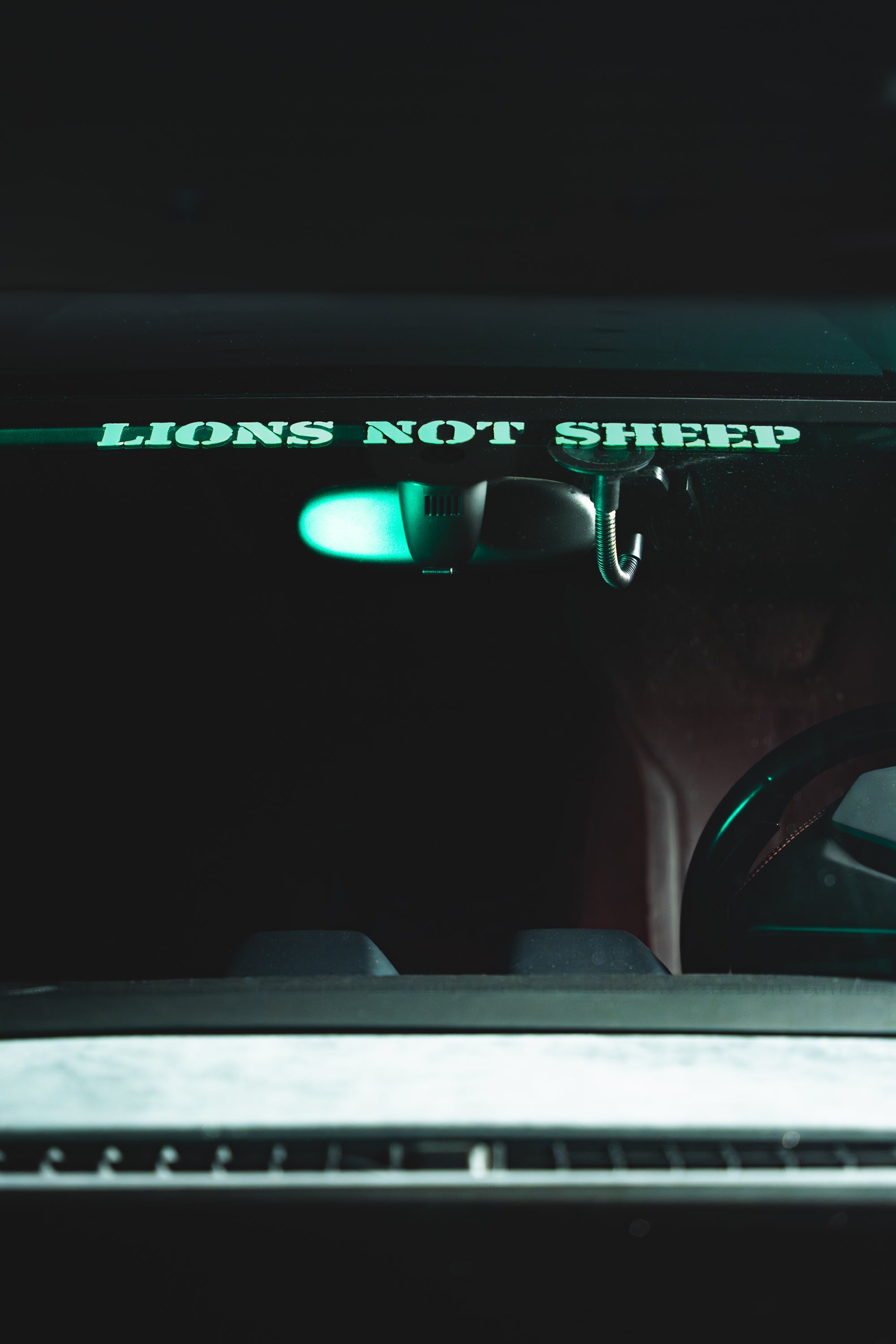 Lions Not Sheep Window Vinyl Stickers (Mint / Large / Horizontal) - Lions Not Sheep ®