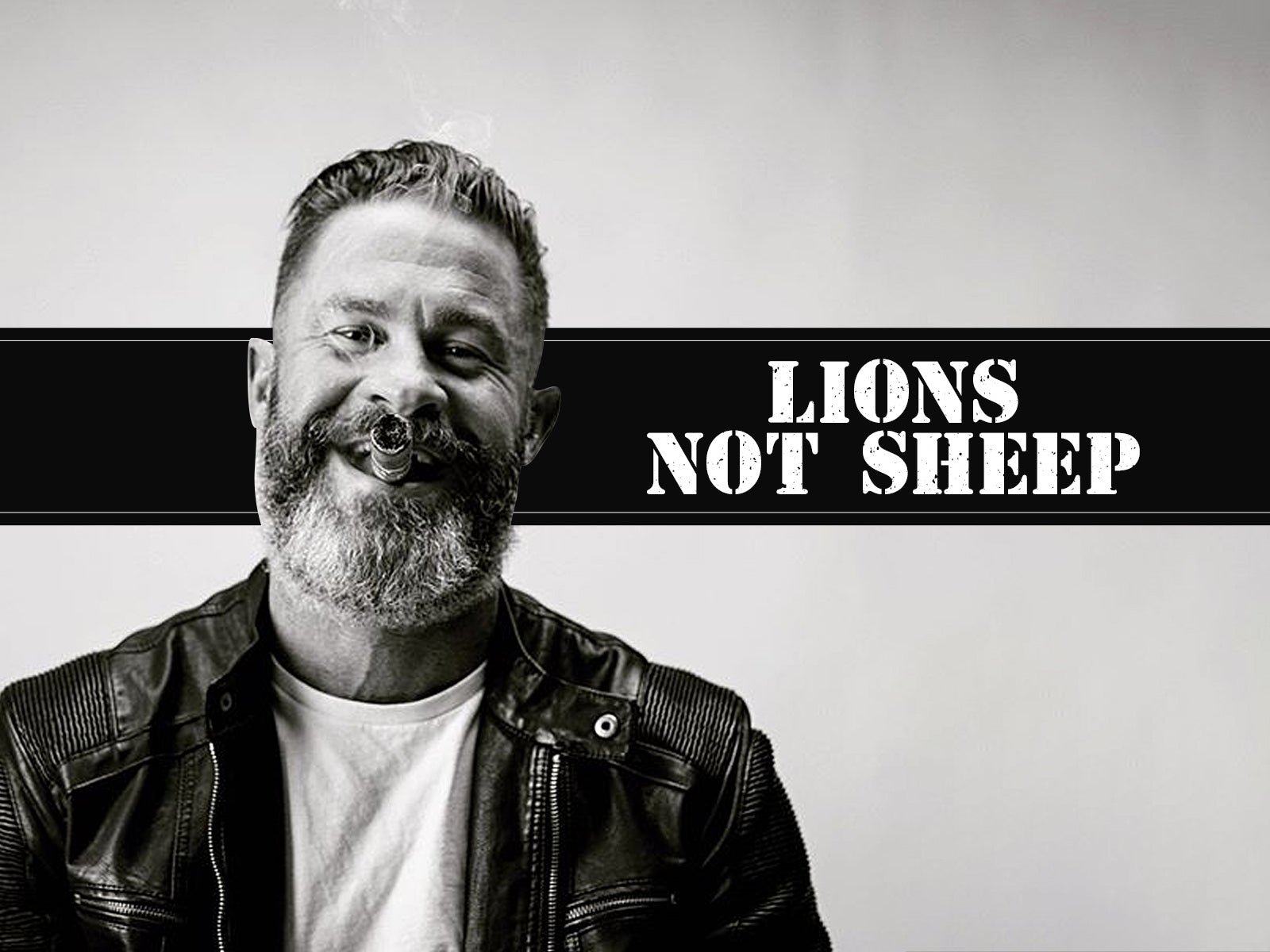 Lions Not Sheep