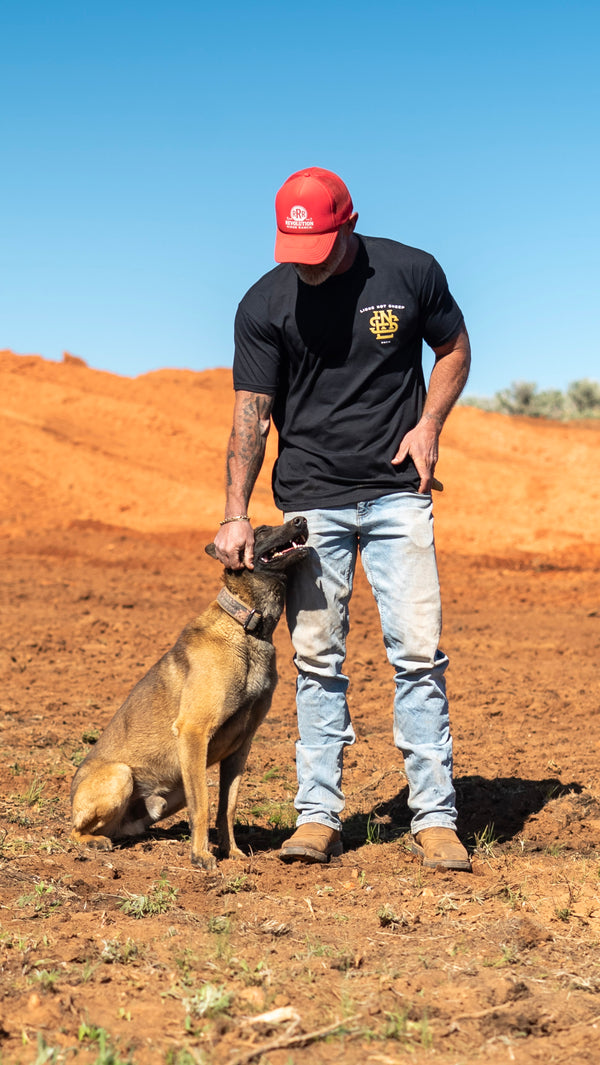 Lions Not Sheep "All Quiet" Tee