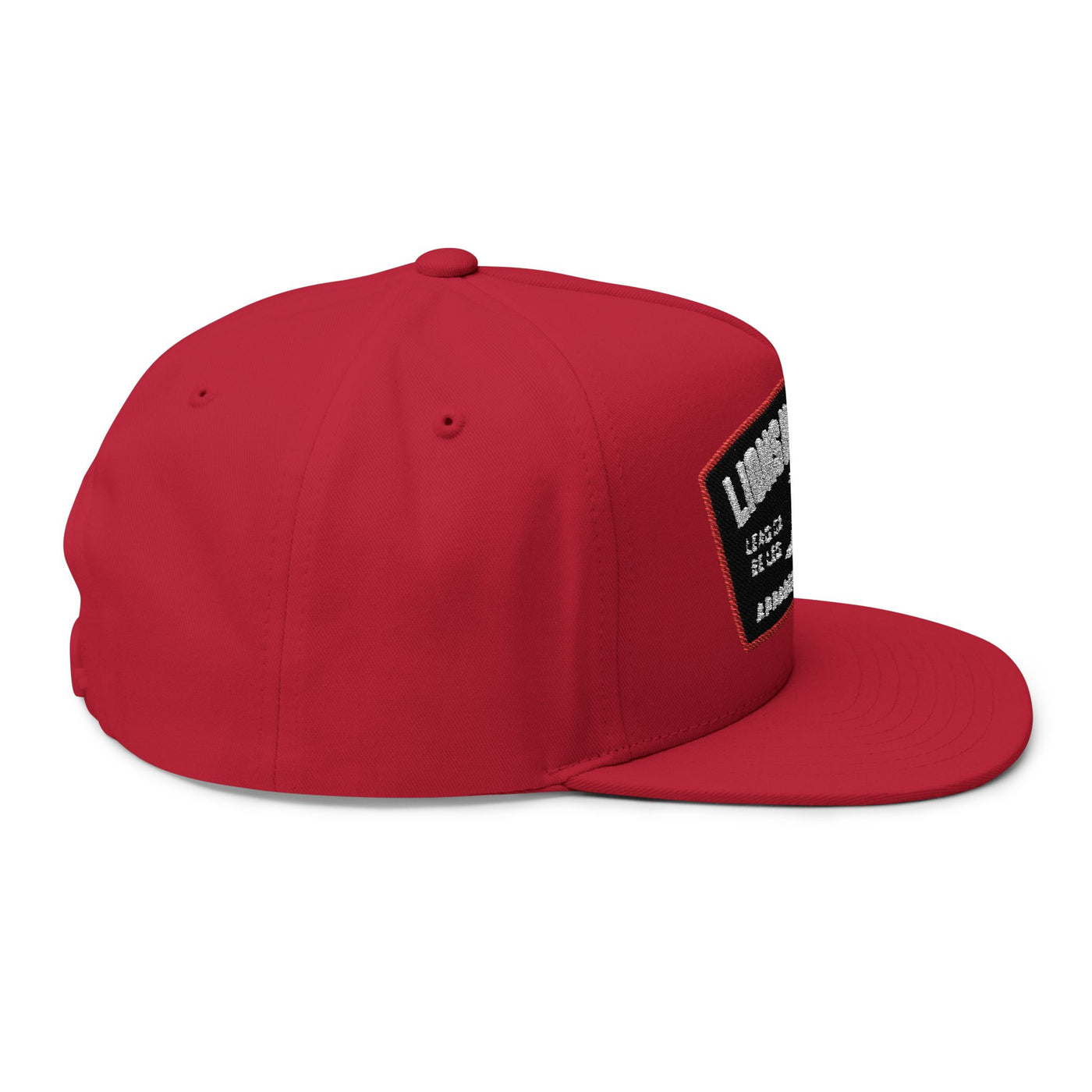 Lions Not Sheep "Lead From the Front" Flat Bill Hat Old