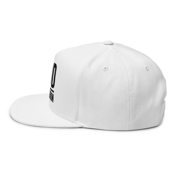 Lions Not Sheep "God's Nation" Flat Bill Hat - Light Version Old