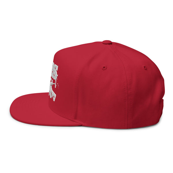 Lions Not Sheep "AR-15" Flat Bill Hat - Dark Version Old