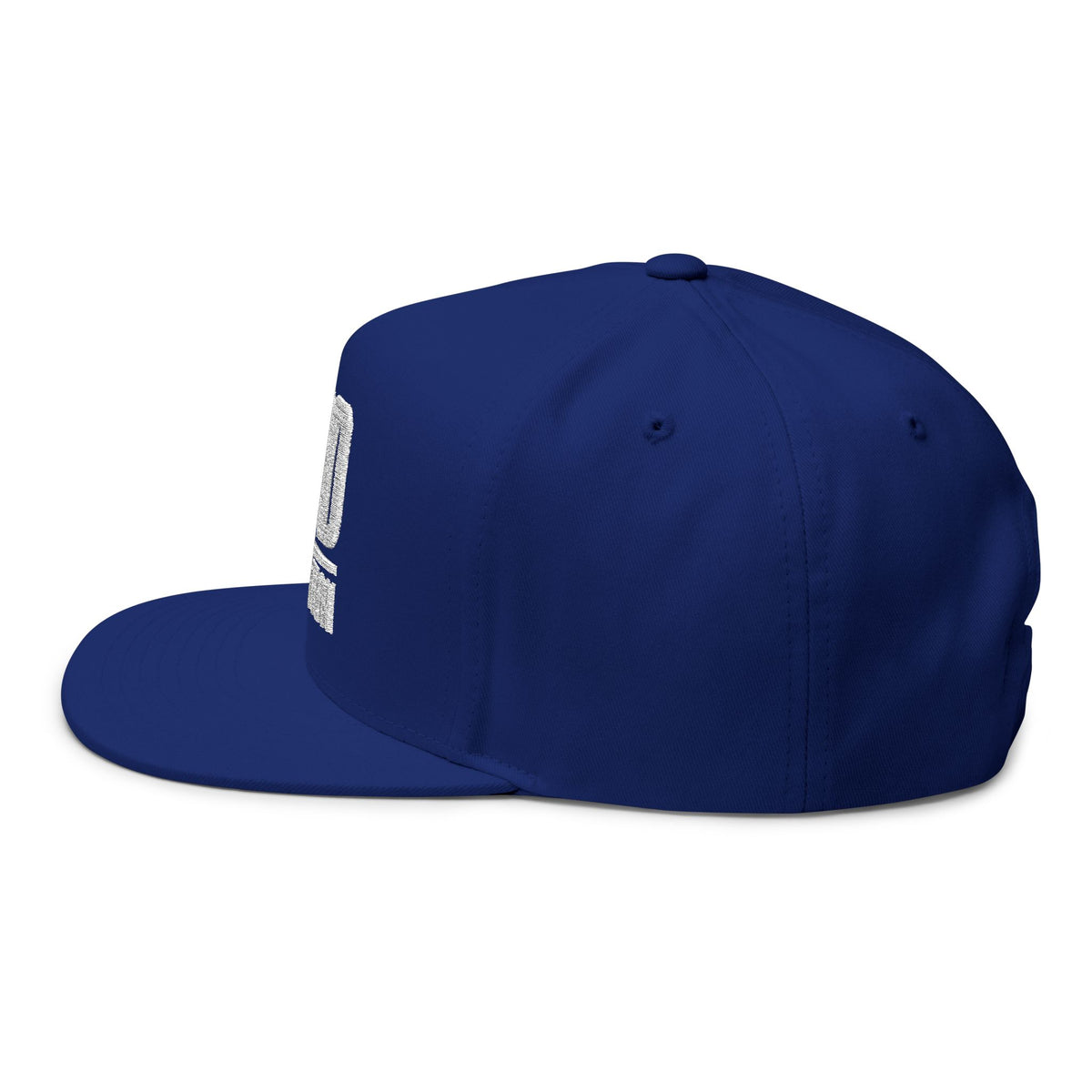 Lions Not Sheep &quot;God&#39;s Nation&quot; Flat Bill Hat - Dark Version