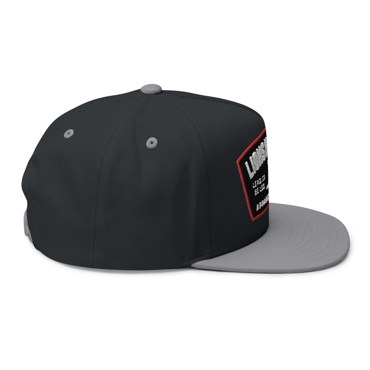 Lions Not Sheep &quot;Lead From the Front&quot; Flat Bill Hat