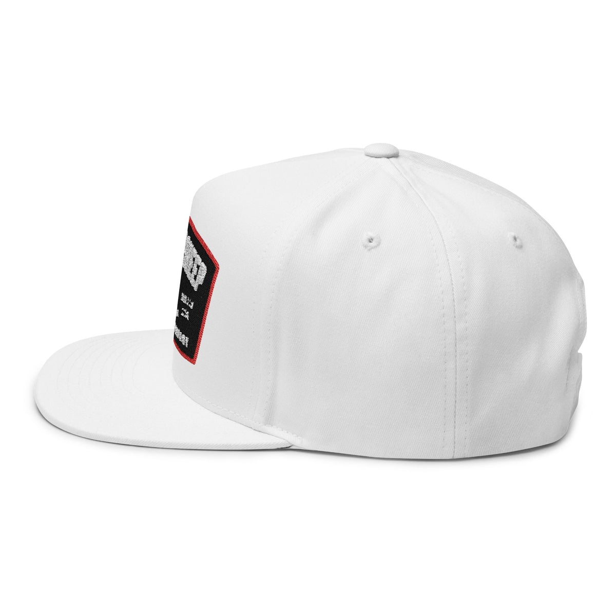 Lions Not Sheep &quot;Lead From the Front&quot; Flat Bill Hat