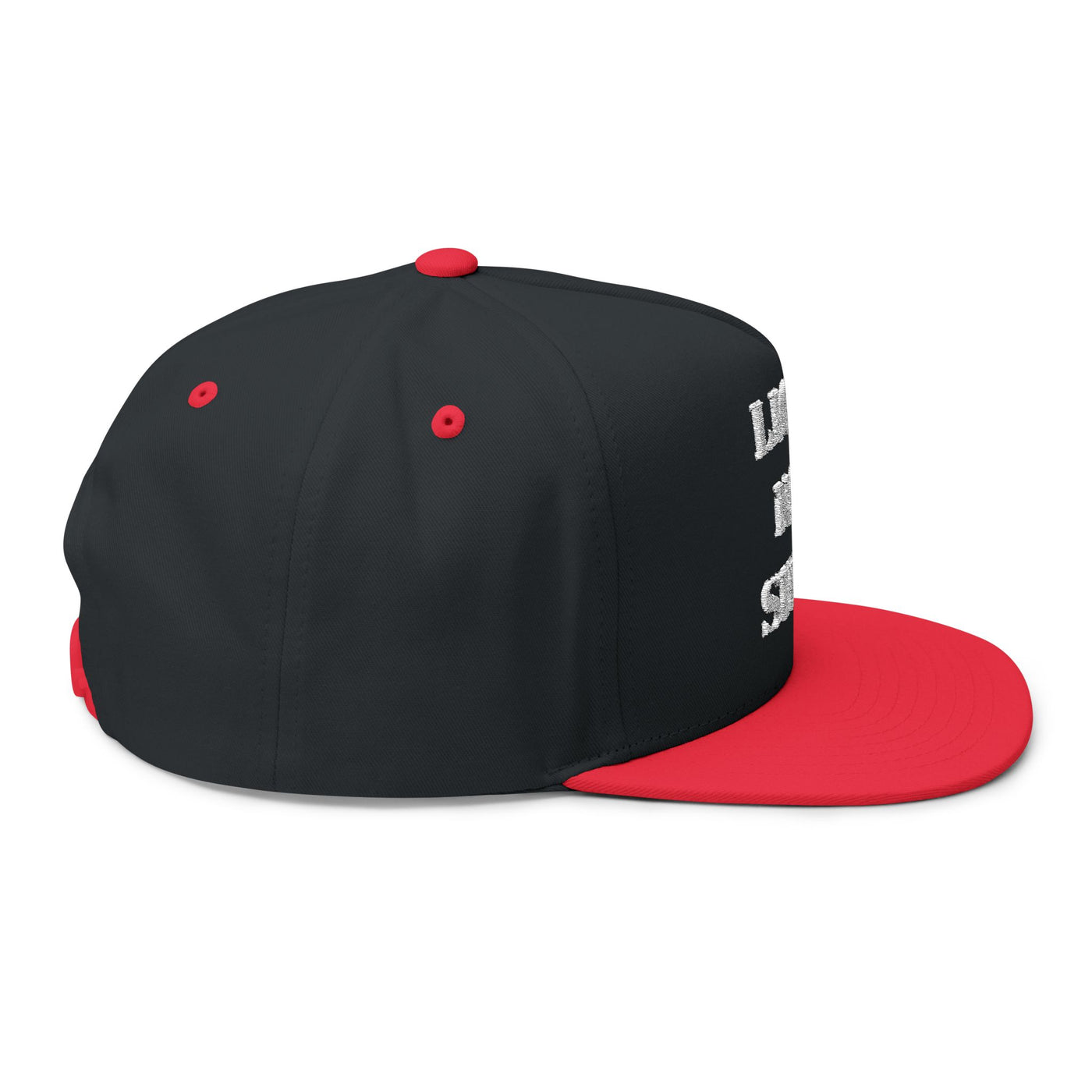 Lions Not Sheep "OG" Flat Bill Hat - Dark Version Old