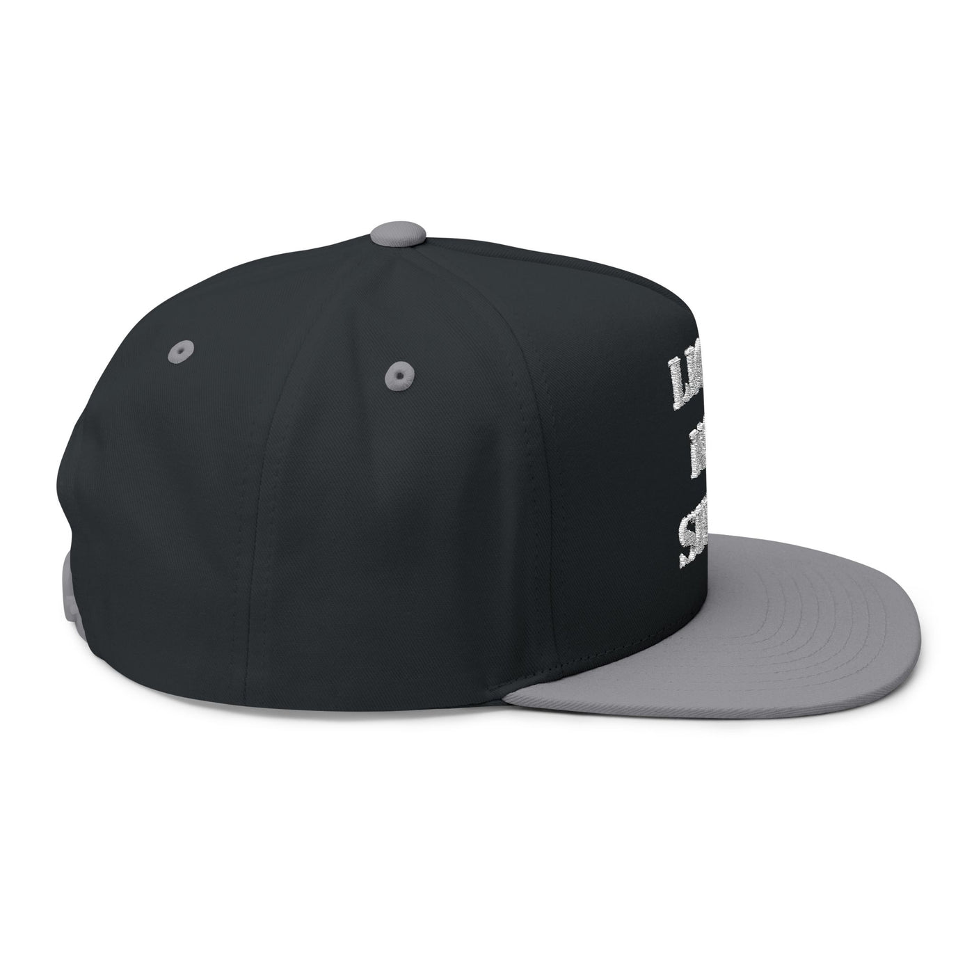 Lions Not Sheep "OG" Flat Bill Hat - Dark Version Old