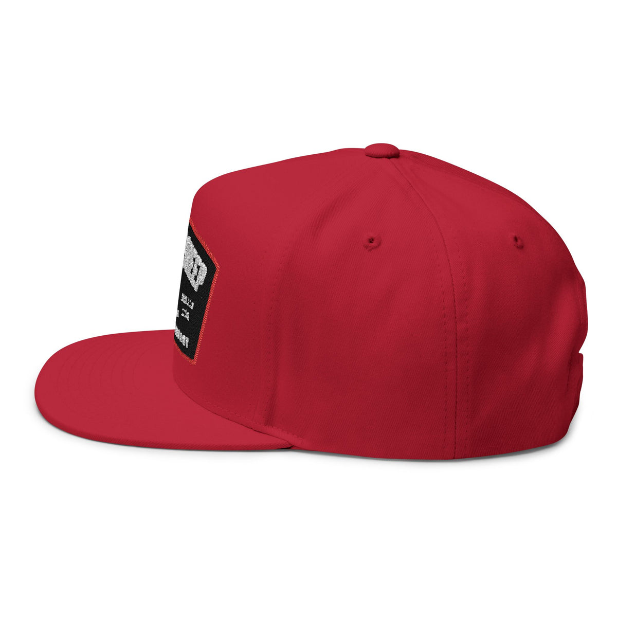 Lions Not Sheep &quot;Lead From the Front&quot; Flat Bill Hat