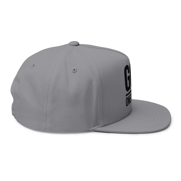 Lions Not Sheep "God's Nation" Flat Bill Hat - Light Version Old
