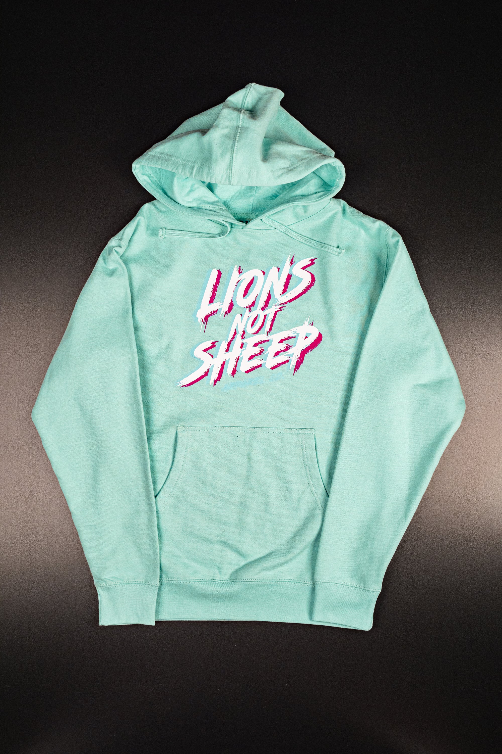 Lions Not Sheep "Race Day" Unisex Pullover Hoodie (Mint) - Lions Not Sheep ®