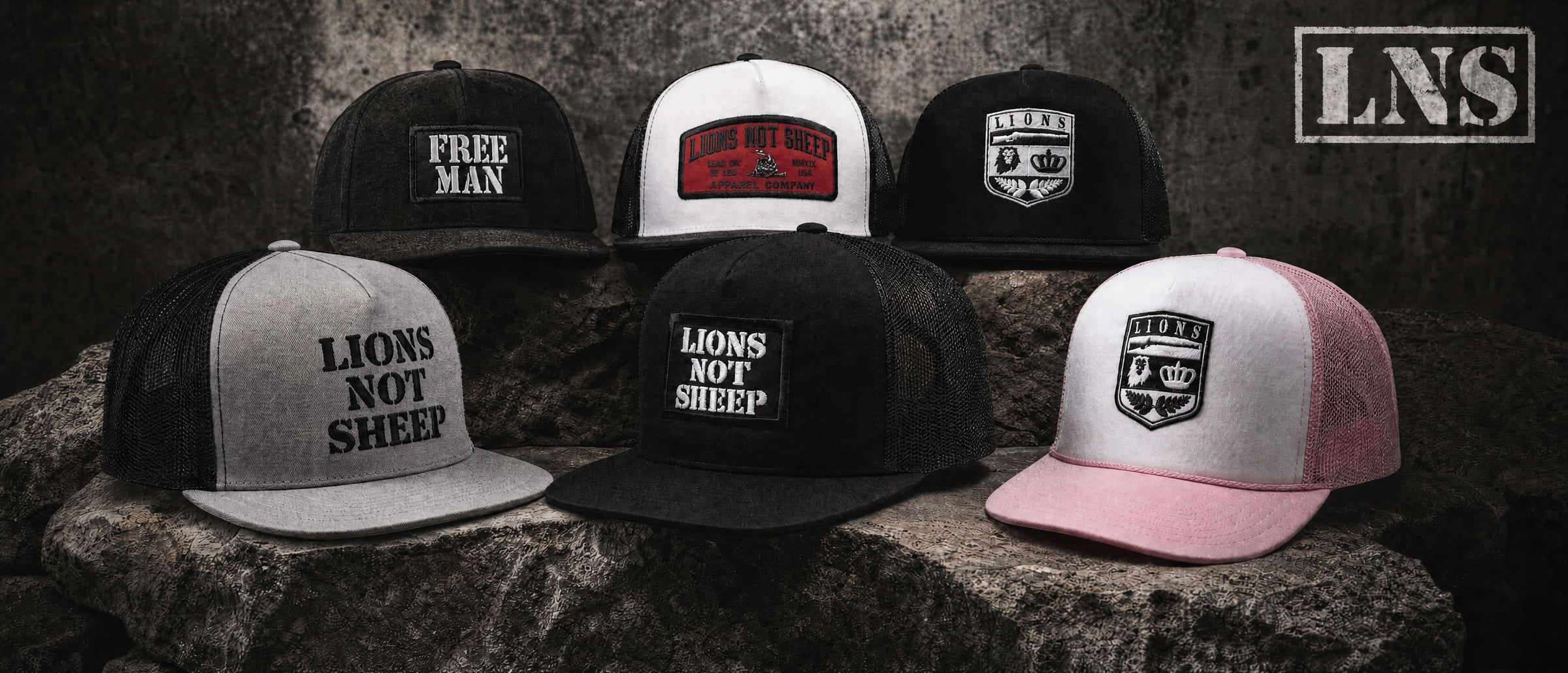 Lions Not Sheep hero