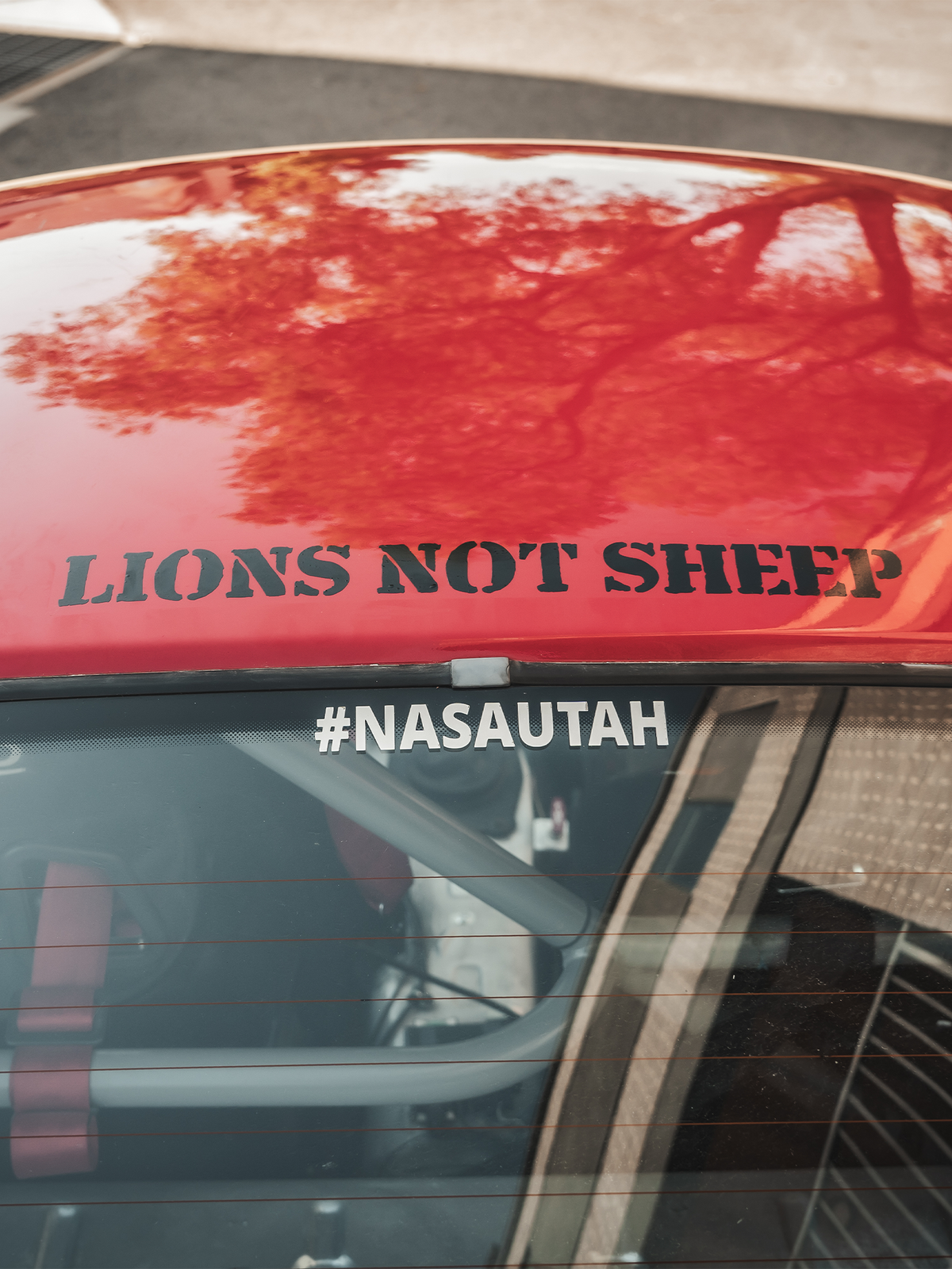 Lions Not Sheep Window Vinyl Stickers (Black / Large / Horizontal) - Lions Not Sheep ®