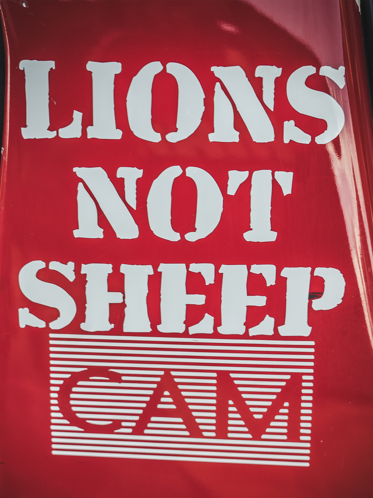 Lions Not Sheep Window Vinyl Stickers (White / Large / Vertical) - Lions Not Sheep ®