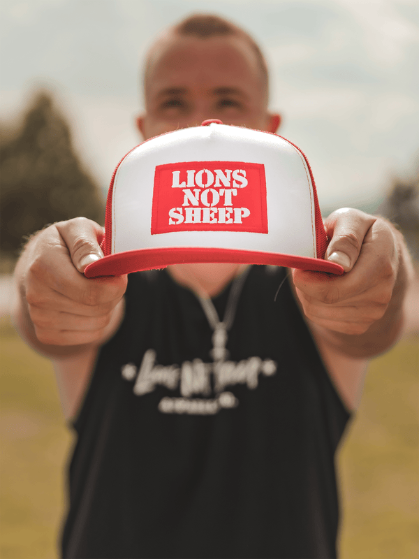 Killin It Klothing Hats Lions Not Sheep OG Hat (White / Red)